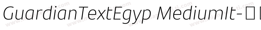 GuardianTextEgyp MediumIt字体转换